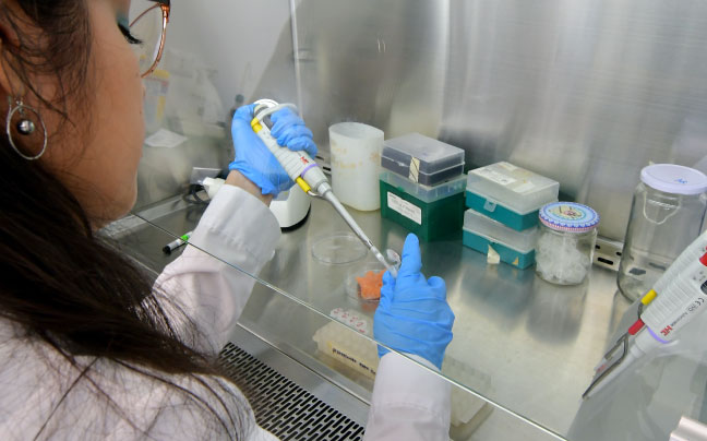 Female scientist looking into a microscope with computer in the background.