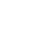 Data Review Icon