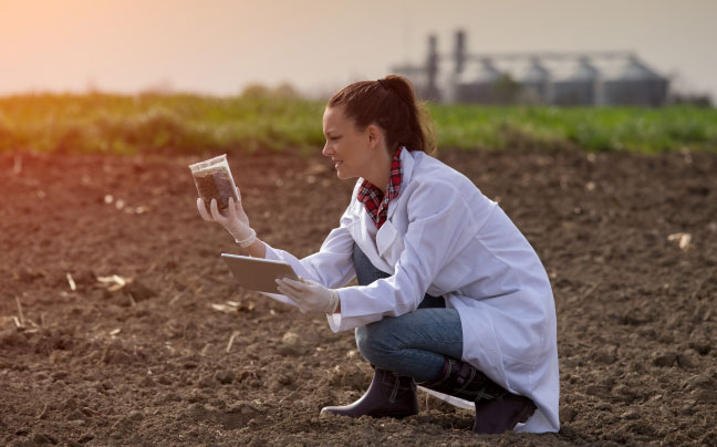 scientist collecting dirt sample on farm