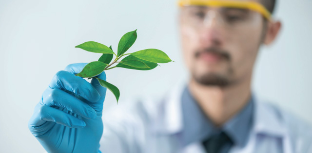 scientist holding plant 