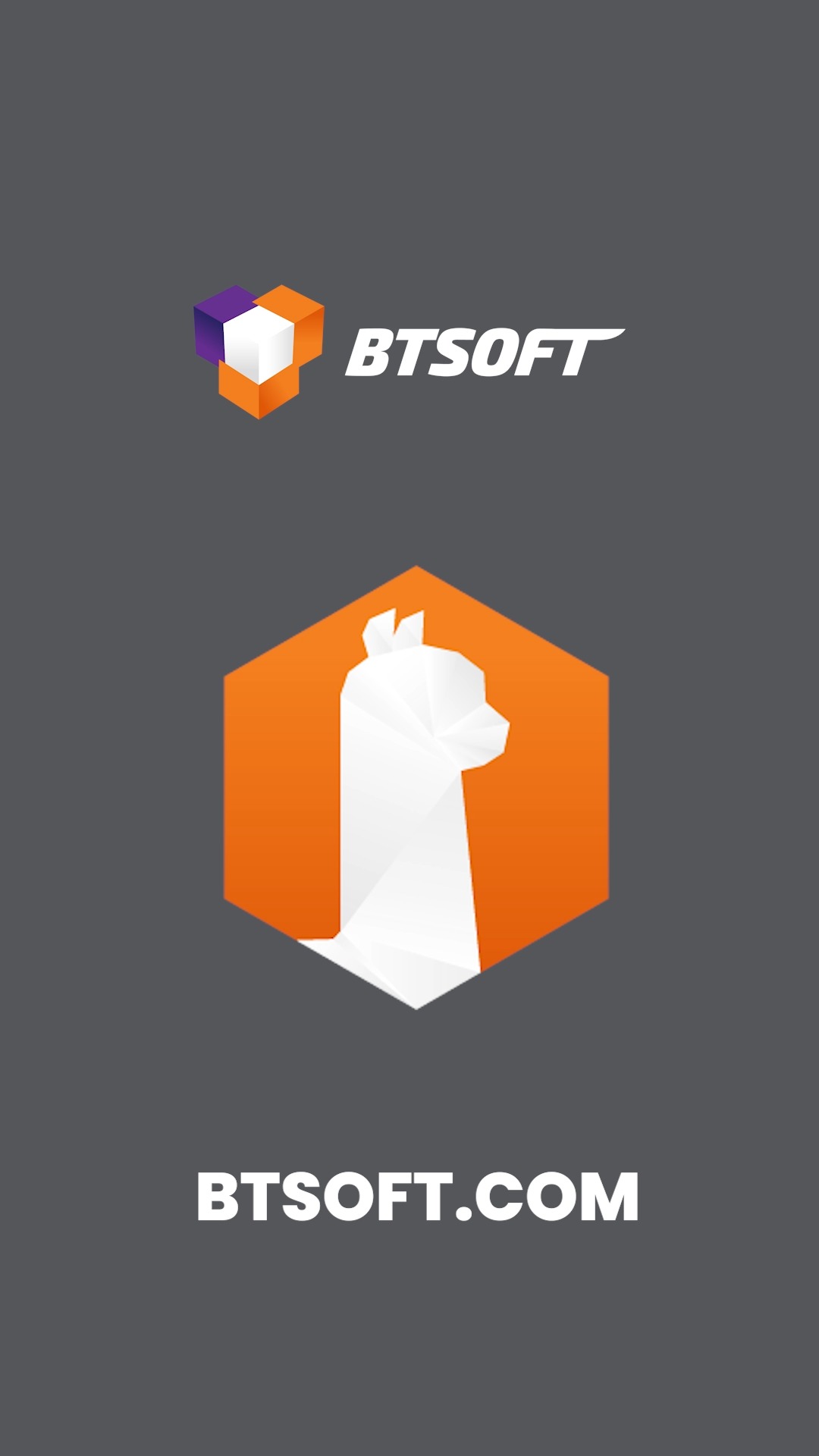 BTSOFT